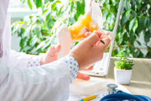 A doctor using an anatomical model of the hip